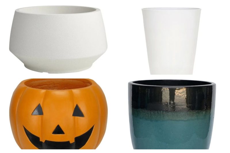 6 Stylish Planters from At Home to Elevate Your Outdoor Space